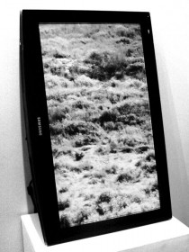 A Journey to the Top of The Screen & Vanished in the Seemless Horizon