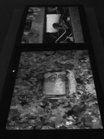 1000 Singapore’s Cigarette Butts