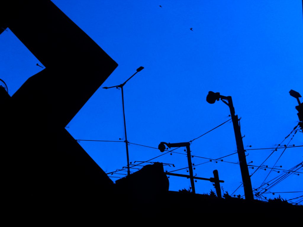 MG_5686